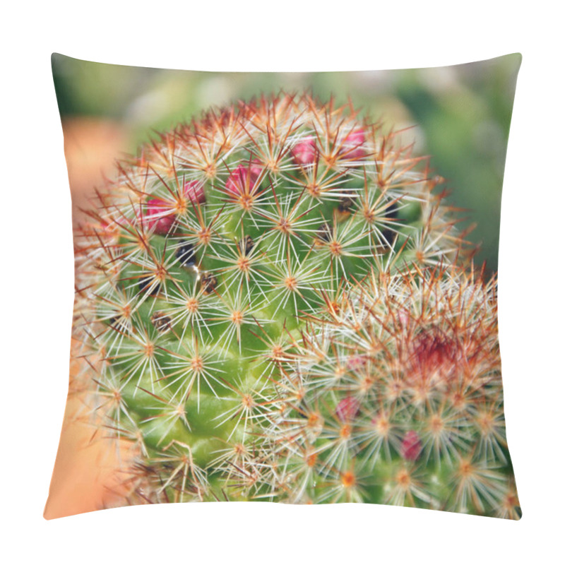 Personality  Beautiful Potted Plant, Close Up Pillow Covers