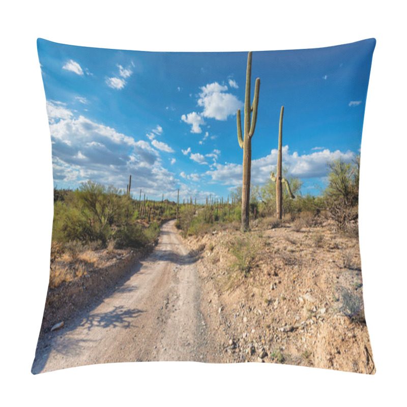 Personality  Road In Saguaro National Park, Tucson, Arizona Pillow Covers