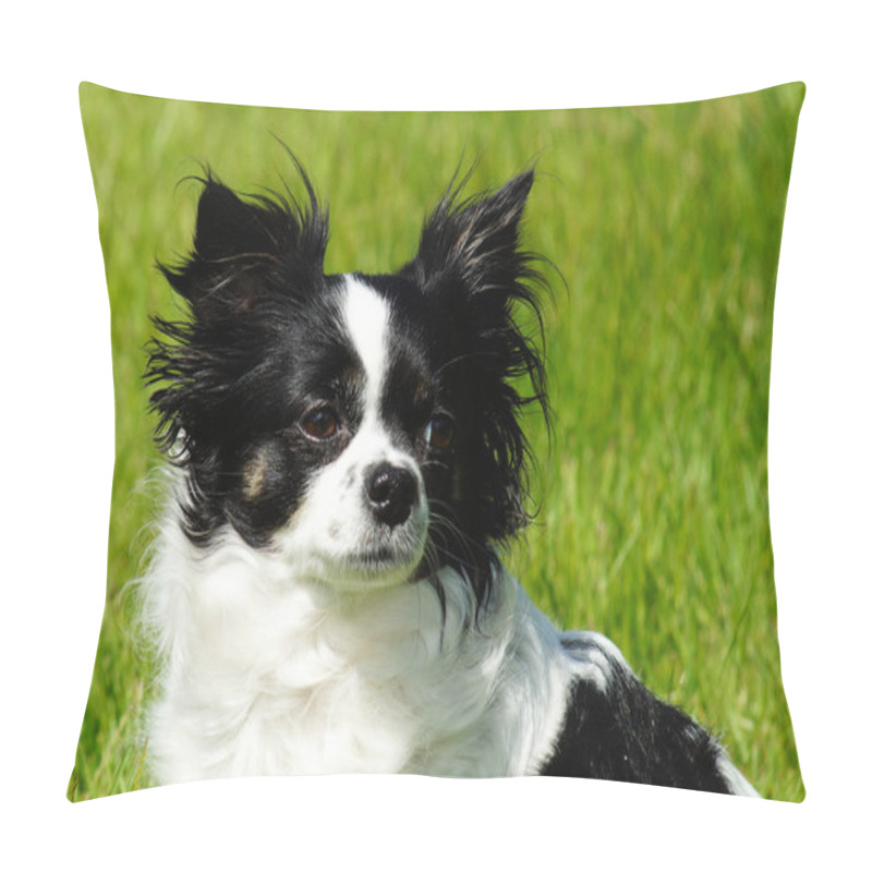 Personality  Chihuahua Dog Pillow Covers