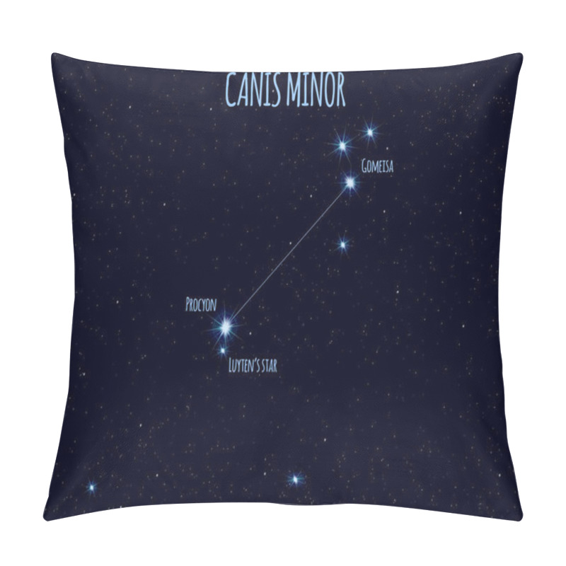 Personality  Canis Minor (The Lesser Dog) Constellation, Vector Illustration With The Names Of Basic Stars Against The Starry Sky Pillow Covers