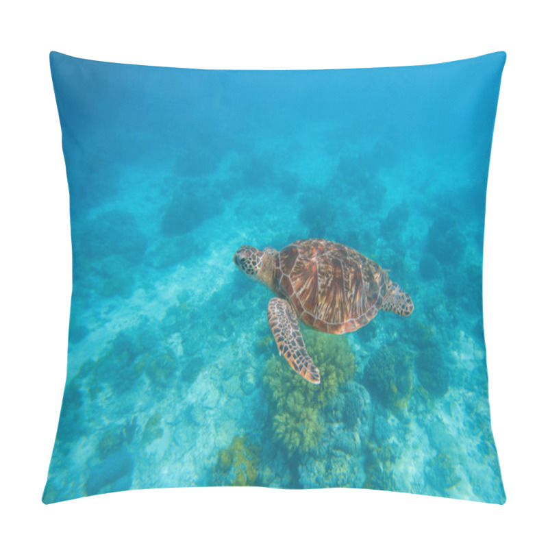 Personality  Sea Turtle In Water. Exotic Island Seaside Environment In Sea Lagoon. Pillow Covers