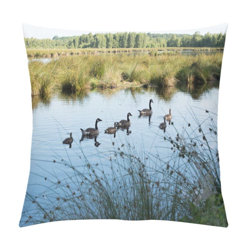 Personality  Canada Goose Branta Canadensis Pillow Covers