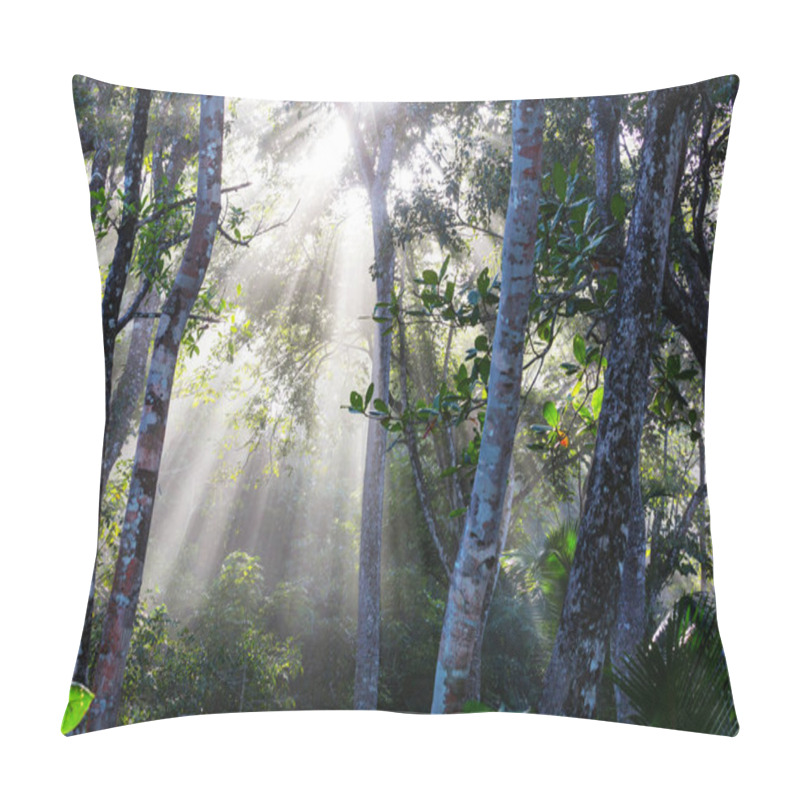 Personality  Jungle In Hawaii Nature Recreation Pillow Covers