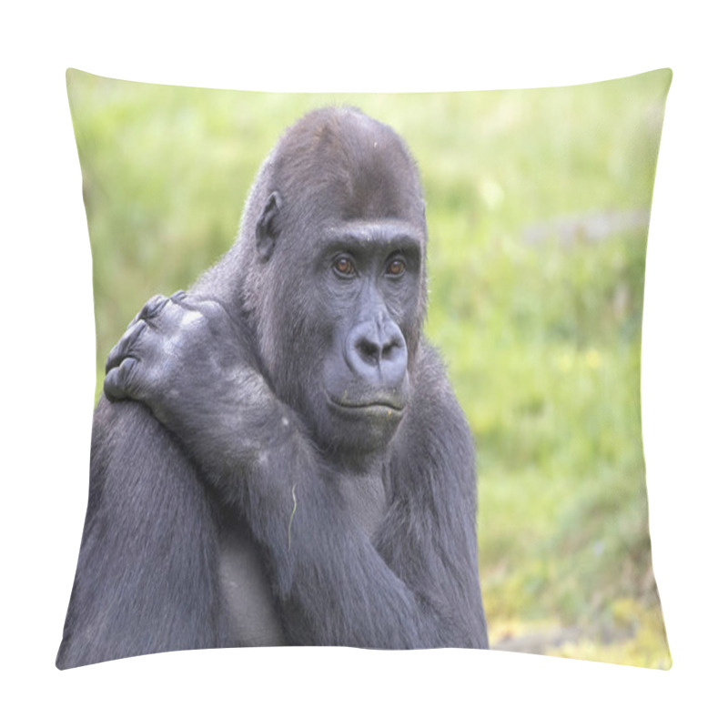 Personality  Young Male Gorilla Close Up Shot Pillow Covers