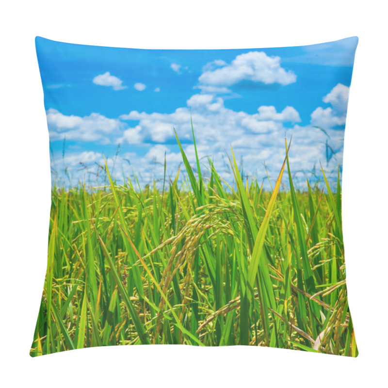 Personality  Green Rice Field With Blue Sky In Thailand Pillow Covers