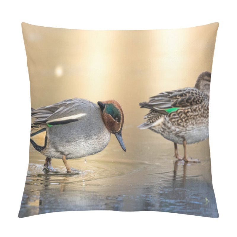 Personality  Beautiful Teal Duck Couple Standing On The Iced Pond Called Jacobiweiher Not Far Away From Frankfurt, Germany At A Cold Day In Winter. Pillow Covers