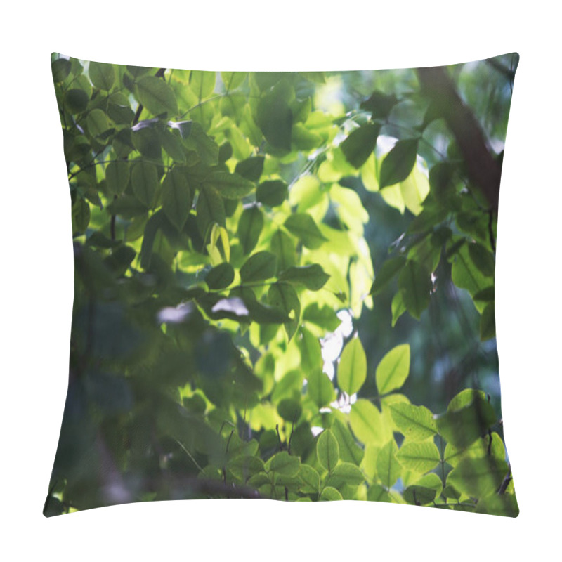 Personality  Leaves Tropical Forest Trees Texture Background Wallpaper Pillow Covers