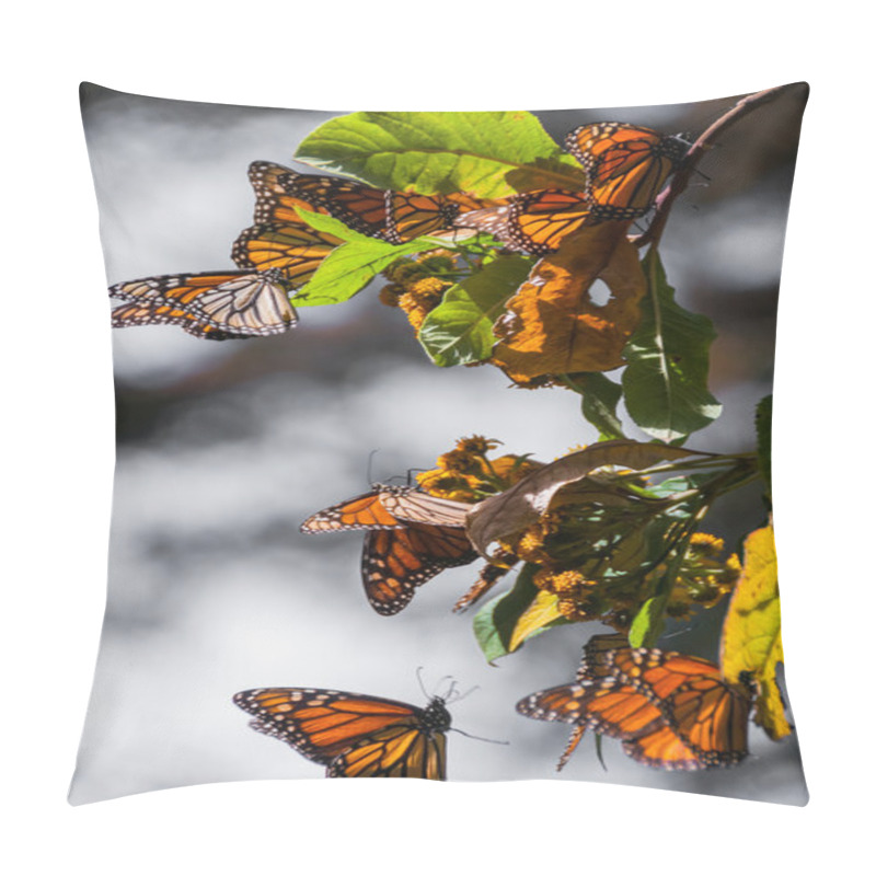 Personality  Monarch Butterfly Biosphere Reserve, Michoacan (Mexico) Pillow Covers