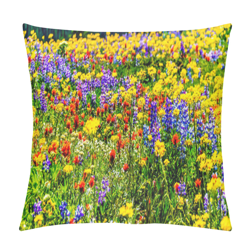 Personality  An Abundance Of Wildflowers On Juniper Ridge At Sun Peaks Village Pillow Covers