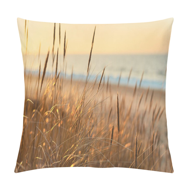 Personality  Baltic Sea Shore At Sunset. Sand Dunes, Plants (Ammophila) Close-up. Soft Sunlight, Golden Hour. Environmental Conservation, Ecotourism, Nature, Seasons. Warm Winter, Climate Change. Macrophotography Pillow Covers