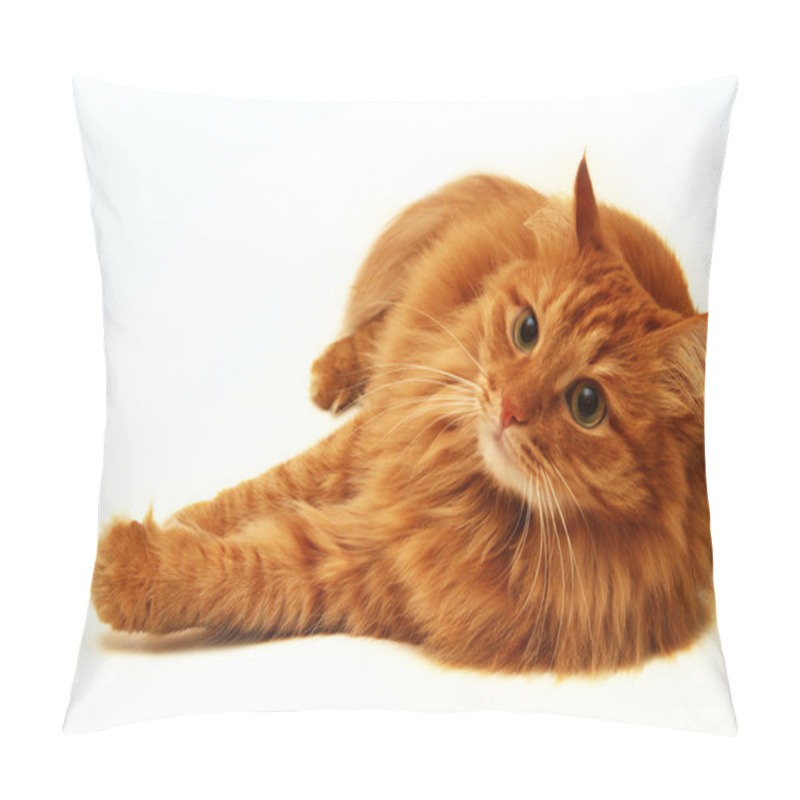 Personality  Red Cat Shot On A White Background Pillow Covers