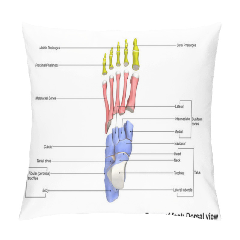 Personality  Human Foot Bones Skeleton Pillow Covers