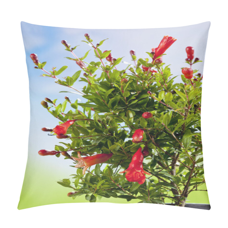 Personality  Pomegranate Blossom On Bush Pillow Covers