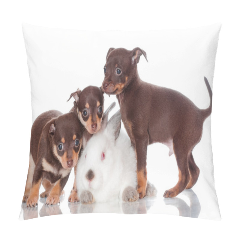 Personality  Adorable Russian Toy Terrier Puppies With A Rabbit Pillow Covers