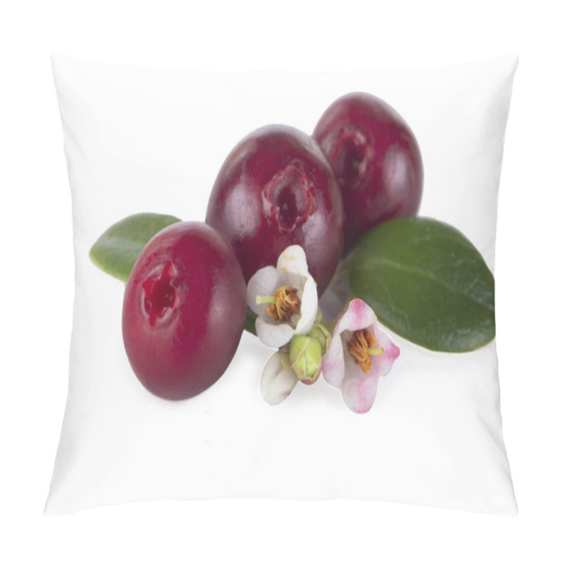 Personality  Ripe Bearberry Close Up  Pillow Covers