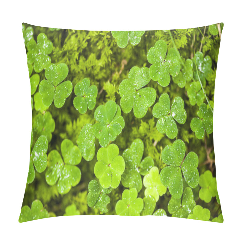 Personality  Clover Shaped Oxalis With Dew Pillow Covers