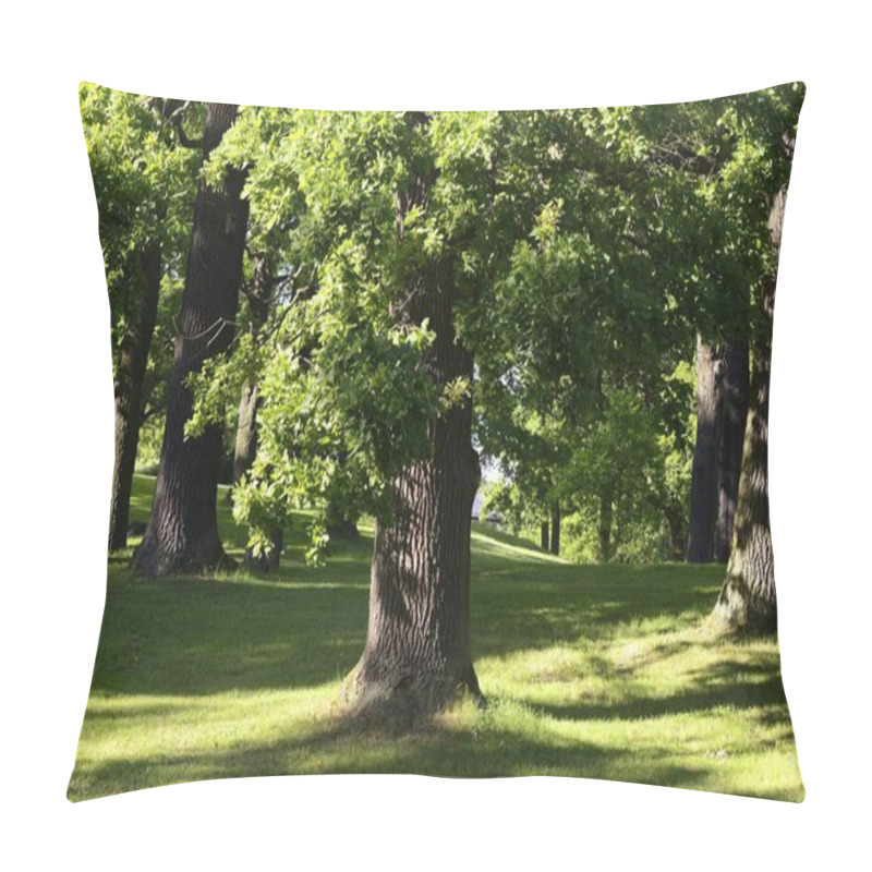 Personality  Solitary Ancient Oak With Awesome Sunbeams Pillow Covers