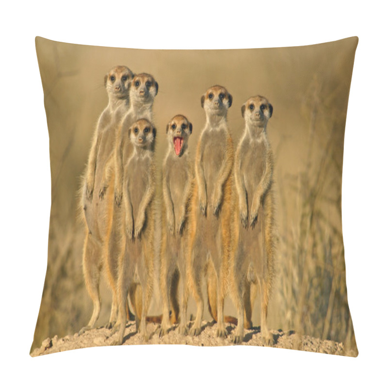 Personality  Meerkat Family 02 Pillow Covers