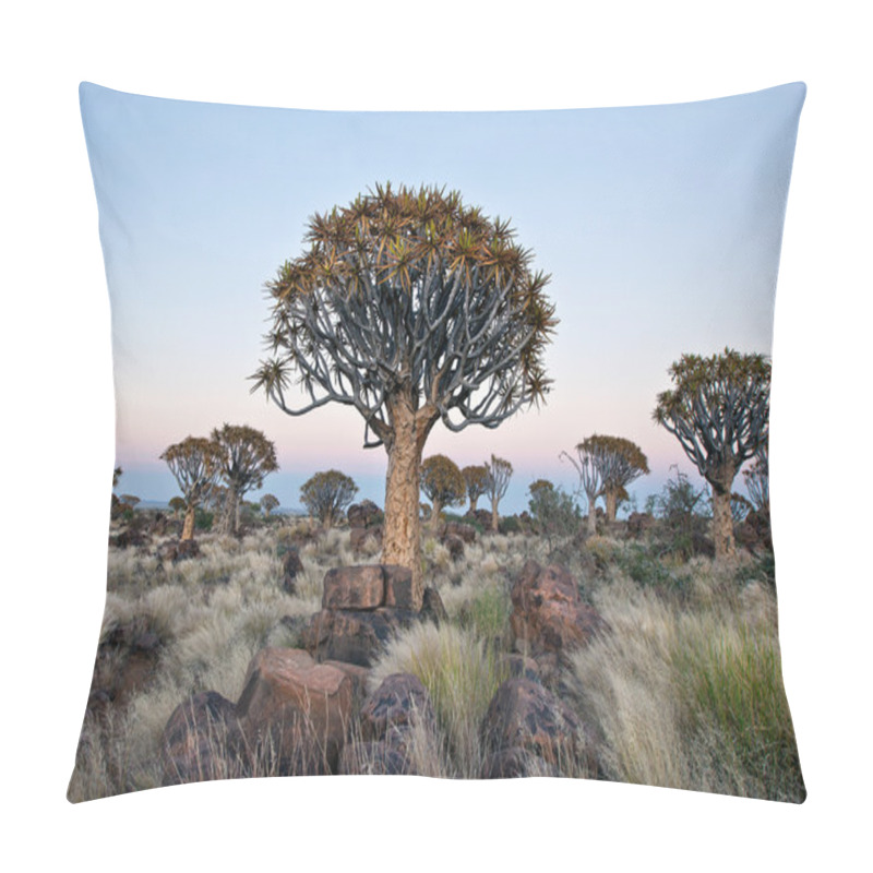 Personality  Quiver Tree At Dusk Pillow Covers