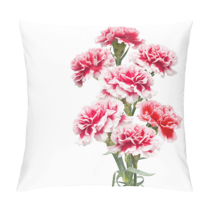 Personality  Beautiful Bouquet Of Carnations Pillow Covers