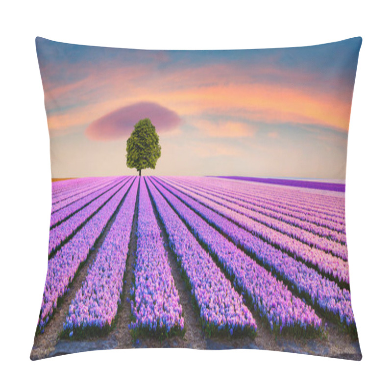 Personality  Alone Tree Among A Field Of Blooming Hyacinth Flowers. Fantastic Morning Scene On The Flowers Farm In Netherlands, Europe. Stunning Spring Sunrise In Farmland. Artistic Style Post Processed Photo Pillow Covers