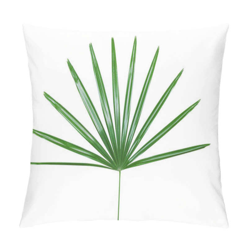 Personality  Green Leaf Of Lady Palm Plant Isolated On White Backgroud With Clipping Path Pillow Covers