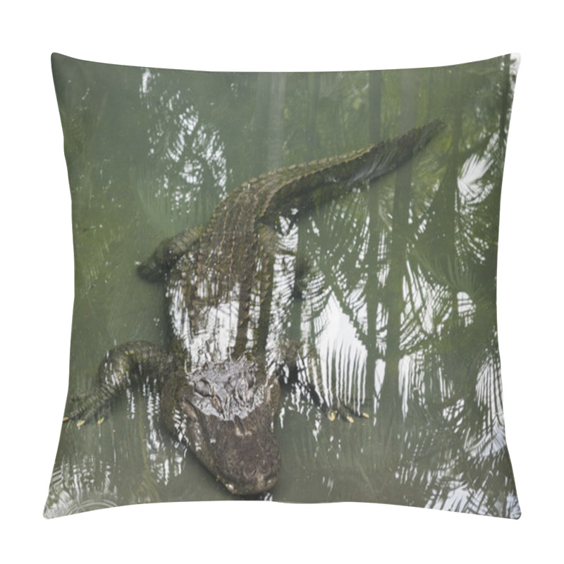 Personality  Alligator Swimming Underwater Pillow Covers