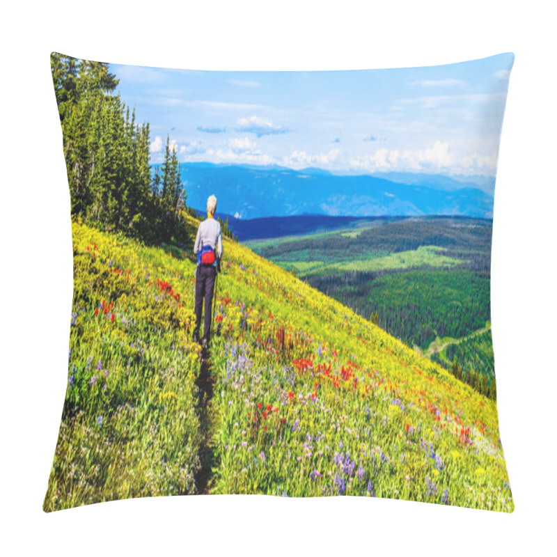 Personality  Woman Hiking Through The Alpine Meadows Filled With Abundant Wildflowers On Tod Mountain At The Alpine Village Of Sun Peaks In The Shuswap Highlands Of The Okanagen Region In British Columbia, Canada Pillow Covers