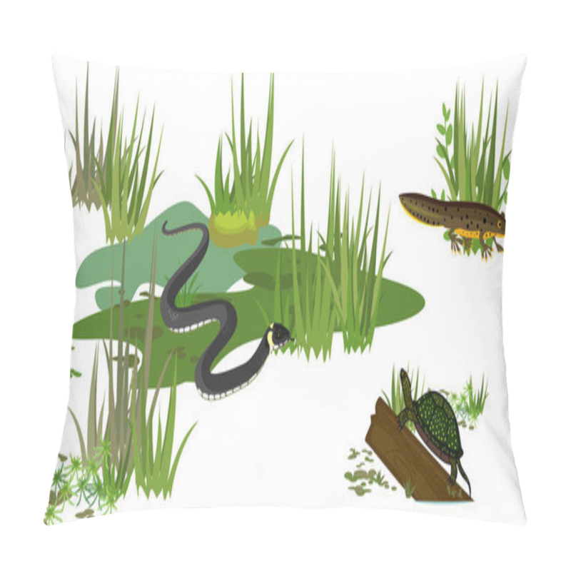 Personality   Grass Snake Or Natrix Natrix, European Pond Turtle (Emys Orbicularis) And Newt In Swamp Biotope Isolated On White Background Pillow Covers