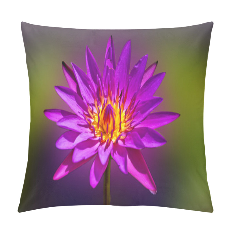 Personality  Bloom Lotus Pillow Covers