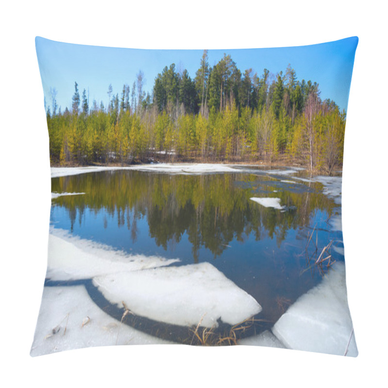 Personality  Spring Landscape , Forest Lake. Pillow Covers