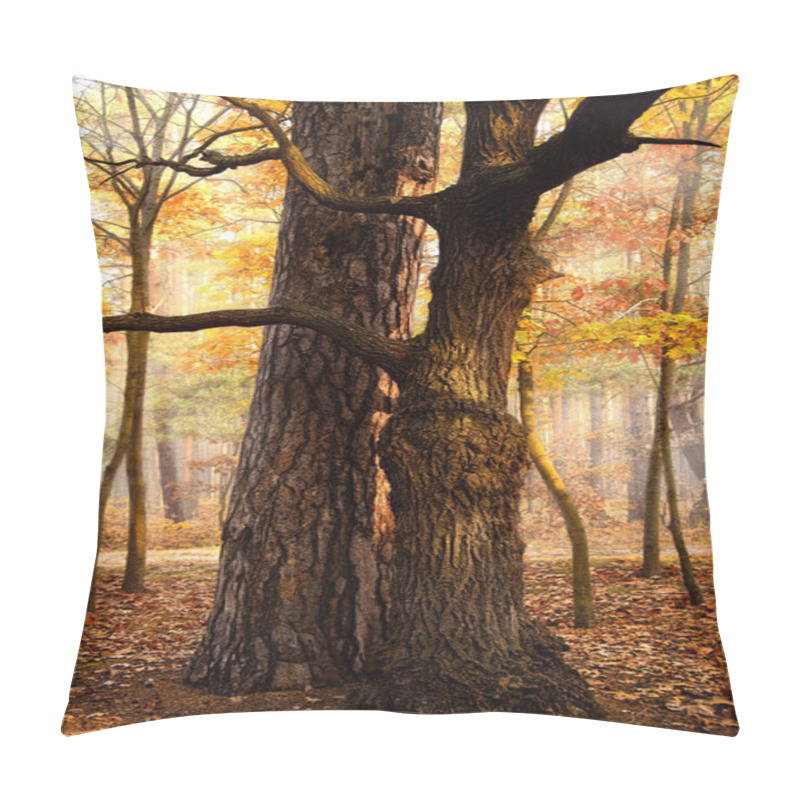 Personality  Beautiful Fall Forest Pillow Covers