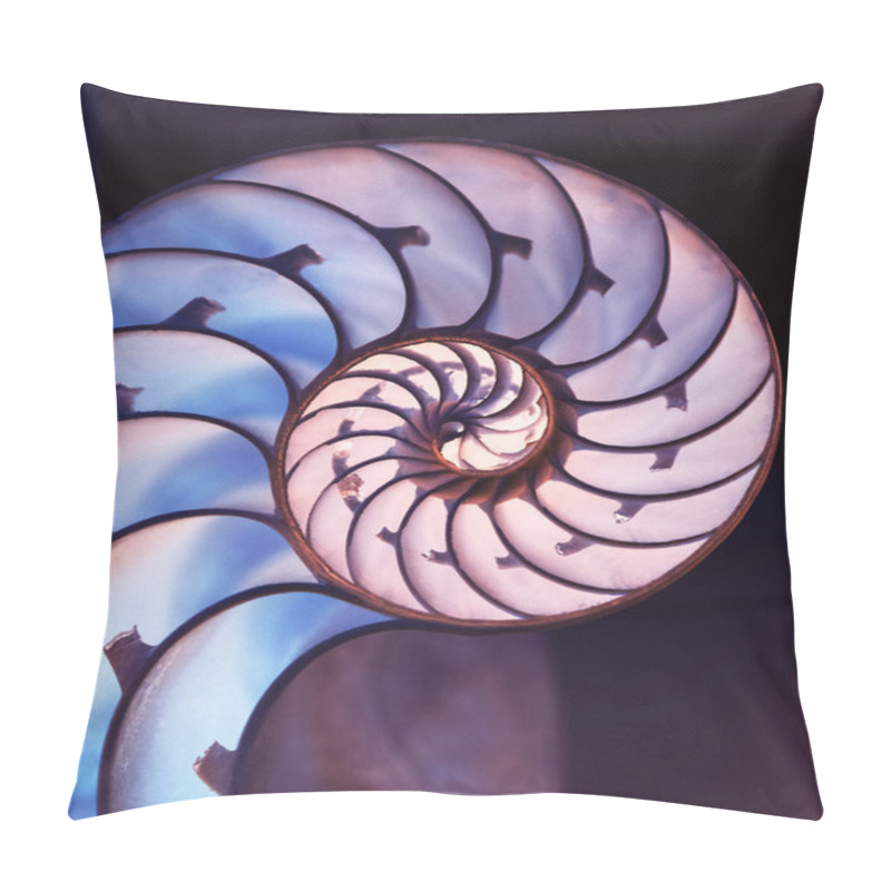 Personality  Cut Away Of Nautilus Shell On Magic Background Pillow Covers