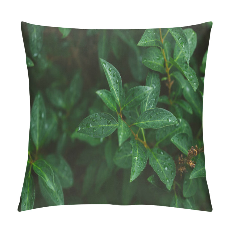 Personality  Green Leaves With Water Drops After Rain Pillow Covers