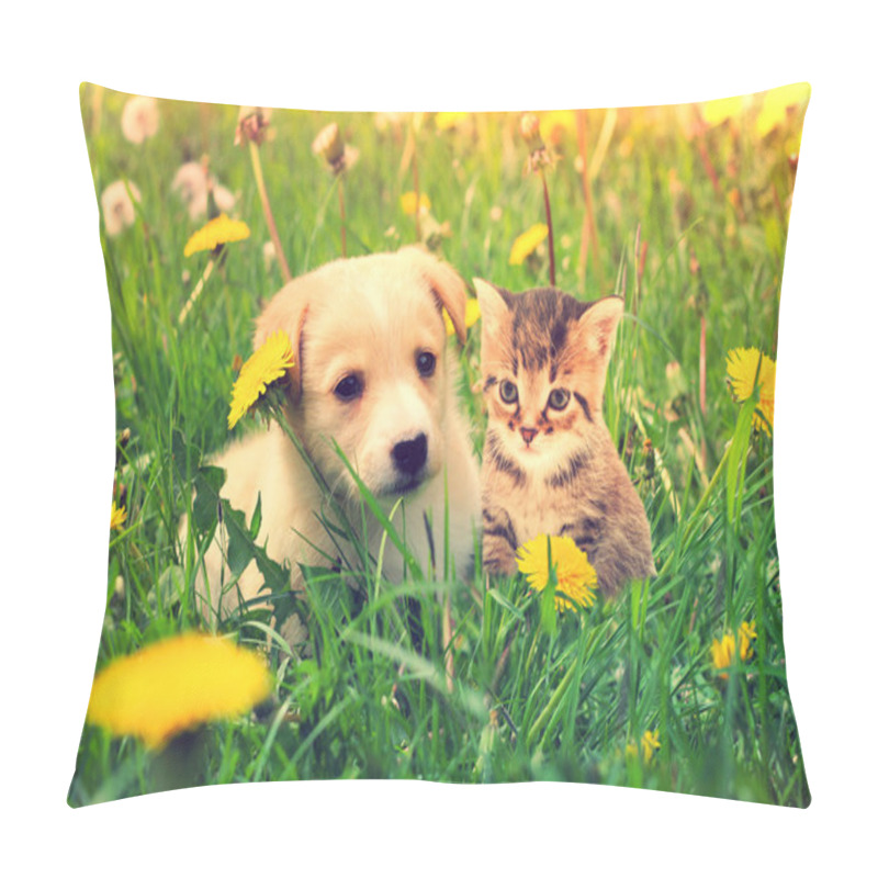 Personality  Kitten And Puppy  Pillow Covers