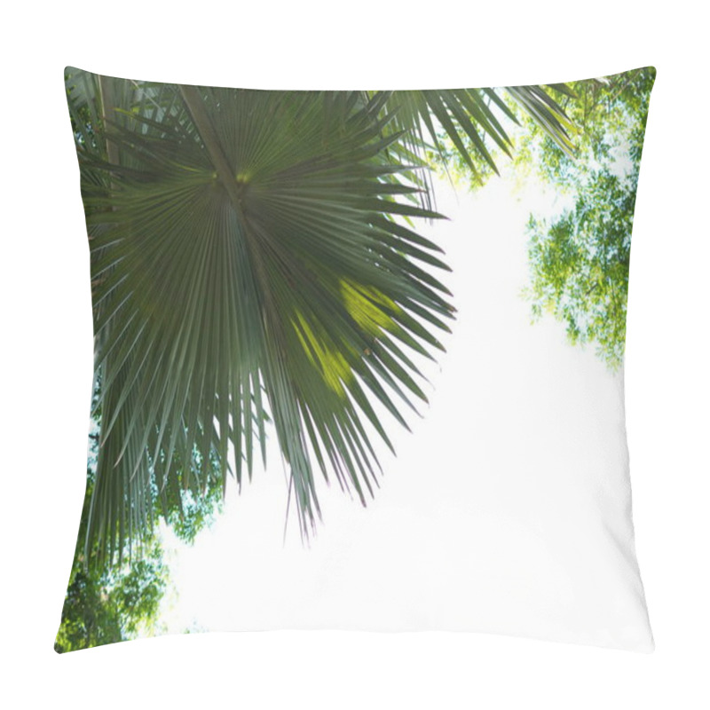 Personality  Background Of A Tree With A Large Trunk And Branches With Wide Light Green Leaves Pillow Covers