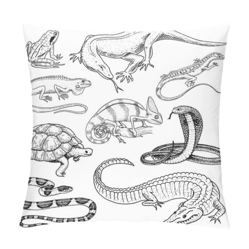 Personality  Set Of Reptiles And Amphibians. Wild Crocodile, Alligator And Snakes, Monitor Lizard, Chameleon And Turtle. Pet And Tropical Animal. Engraved Hand Drawn In Old Vintage Sketch. Vector Illustration. Pillow Covers