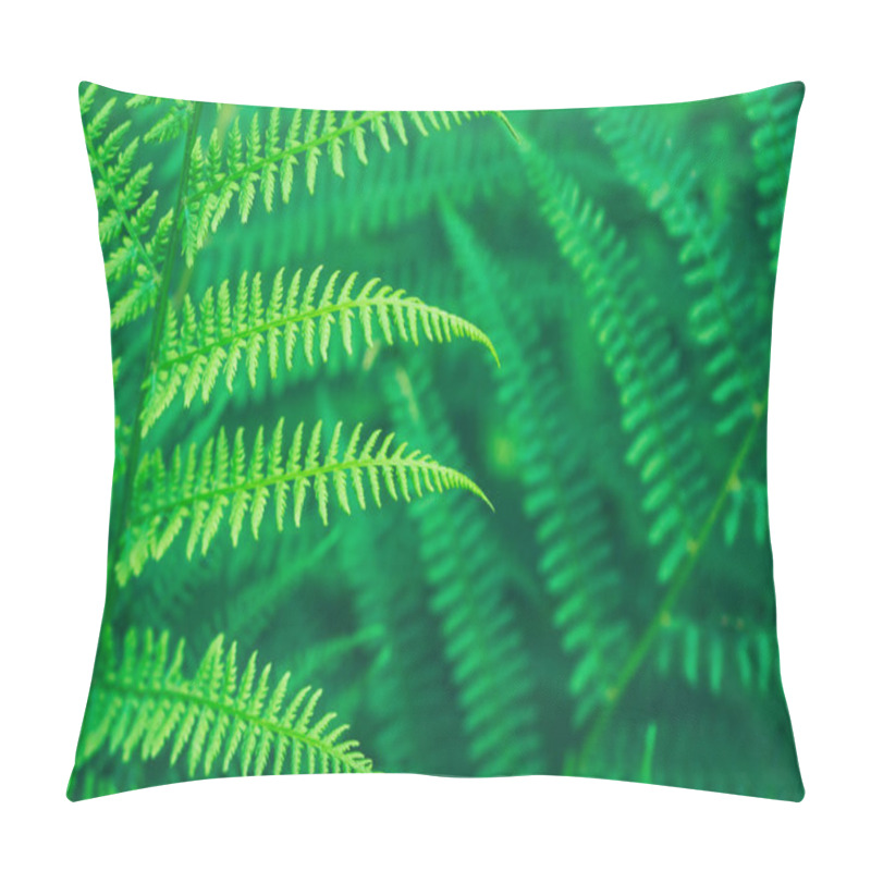 Personality  Lush Green Fern Leaf In Forest Pillow Covers