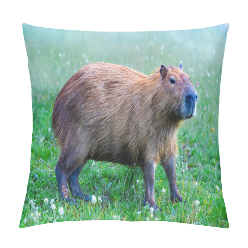 Personality  Wild Capybara Tropical South American Portrait Pillow Covers