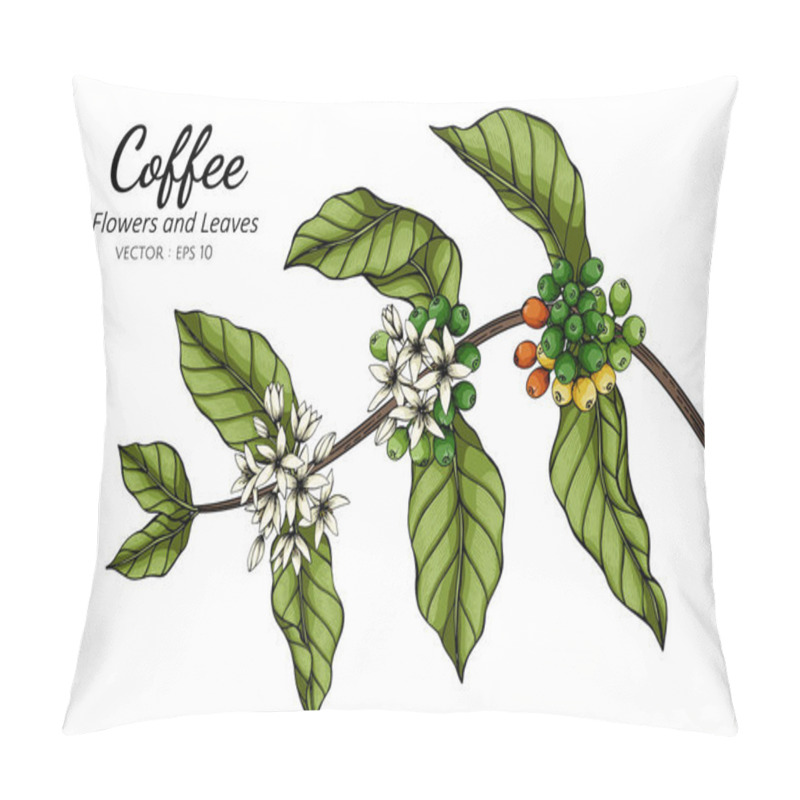 Personality  Coffee Flower And Leaf Drawing Illustration With Line Art On White Backgrounds. Pillow Covers