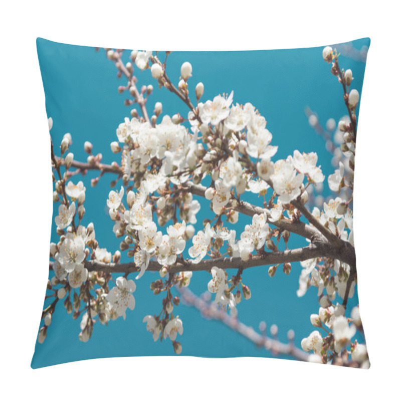 Personality  Sunny Day And Plum Tree With White Spring Blossoms Pillow Covers