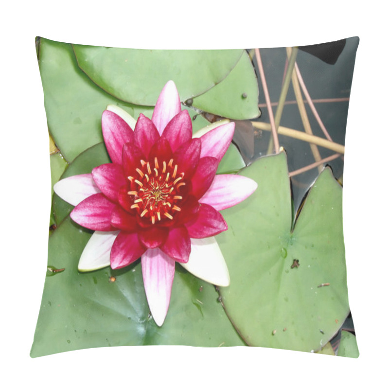 Personality  Beautiful Pink Waterlily Pillow Covers