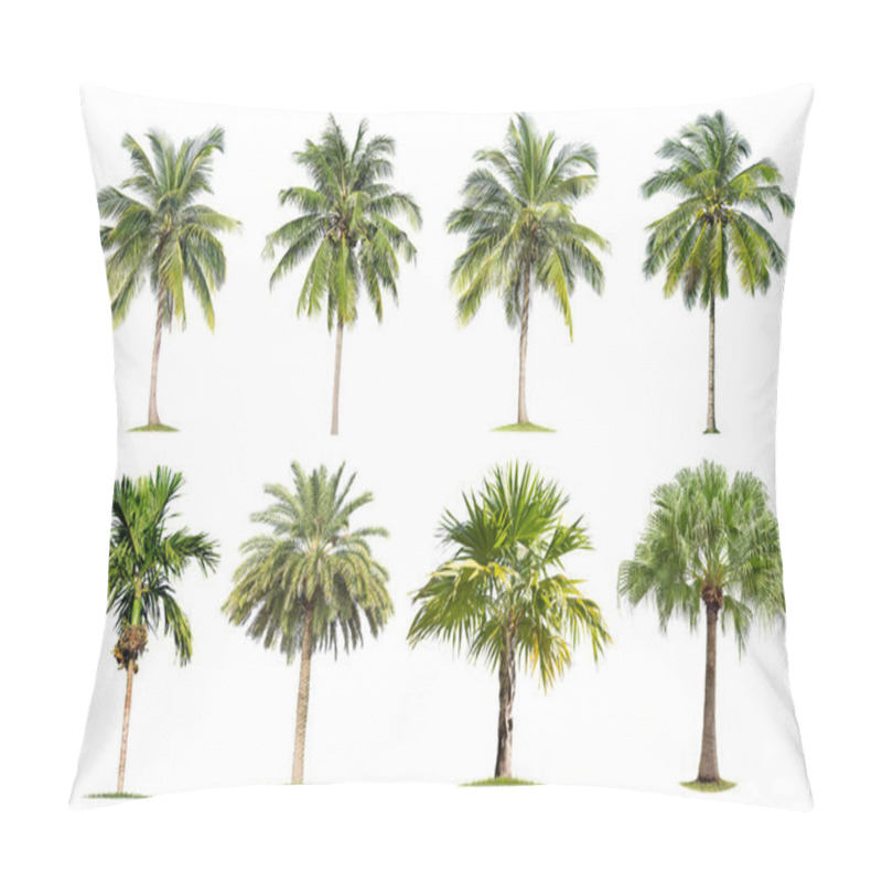 Personality  Coconut And Palm Trees Isolated Tree On White Background , The Collection Of Trees.Large Trees Are Growing In Summer, Making The Trunk Big. Pillow Covers