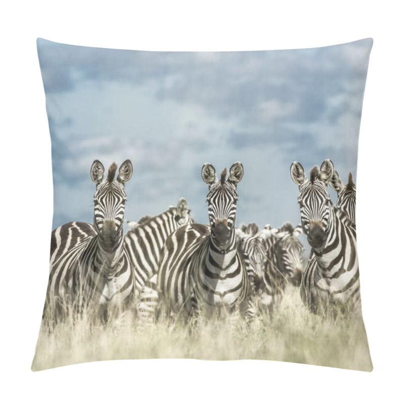 Personality  Herd Of Zebra In The Wild Savannah, Serengeti, Africa Pillow Covers