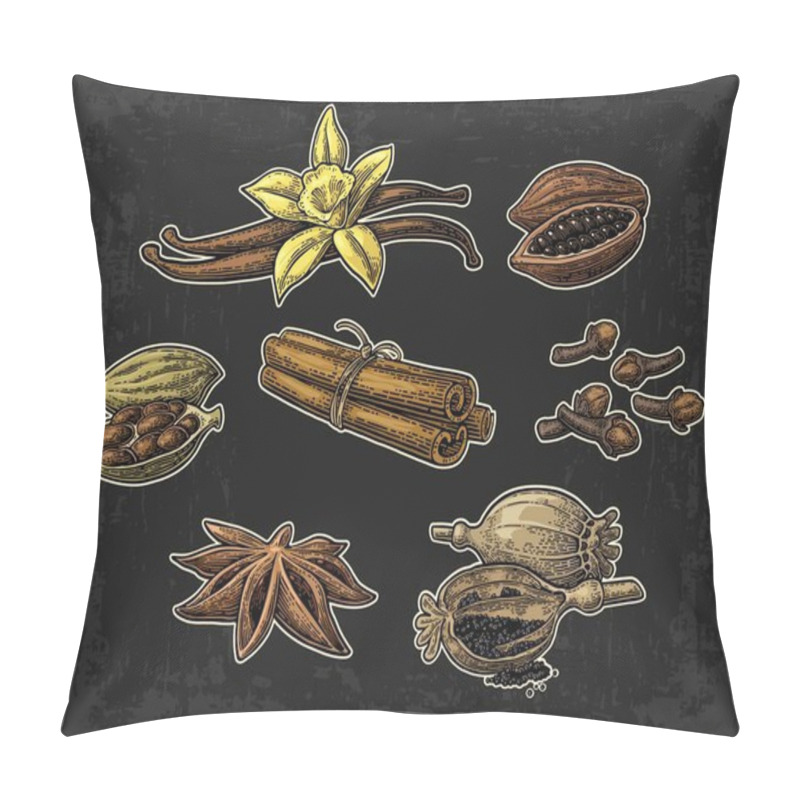 Personality  Set Of Spices. Anise, Cinnamon, Cocoa, Vanilla, Poppy Pillow Covers