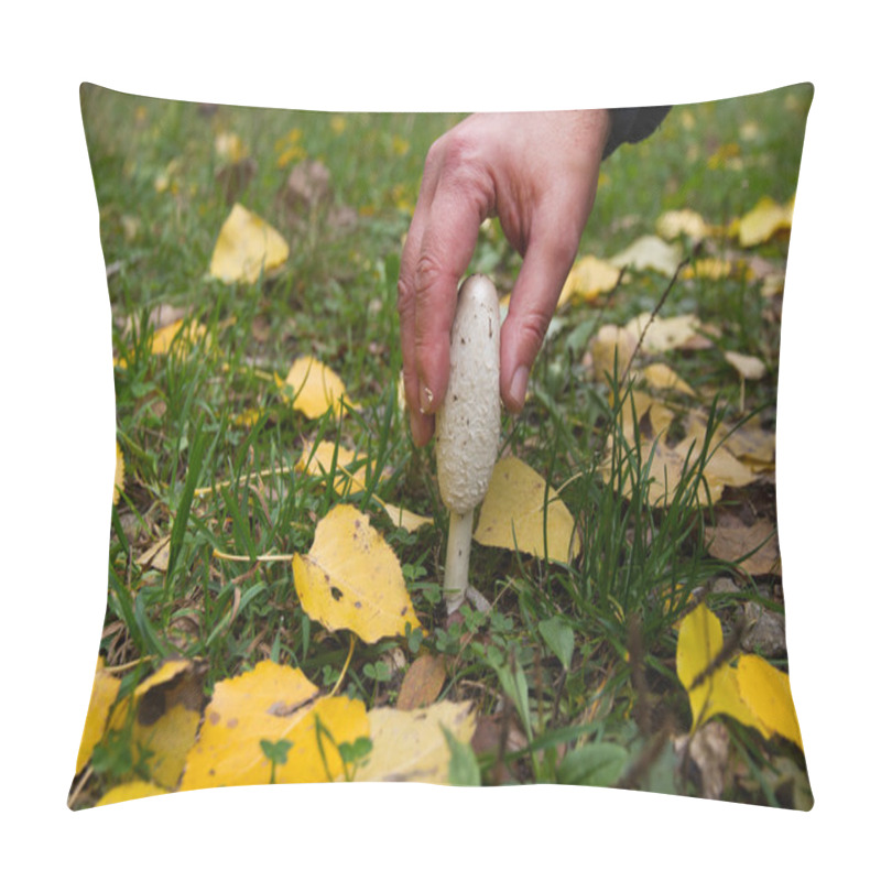 Personality  Picking Mushroom Coprinus Comatus Pillow Covers