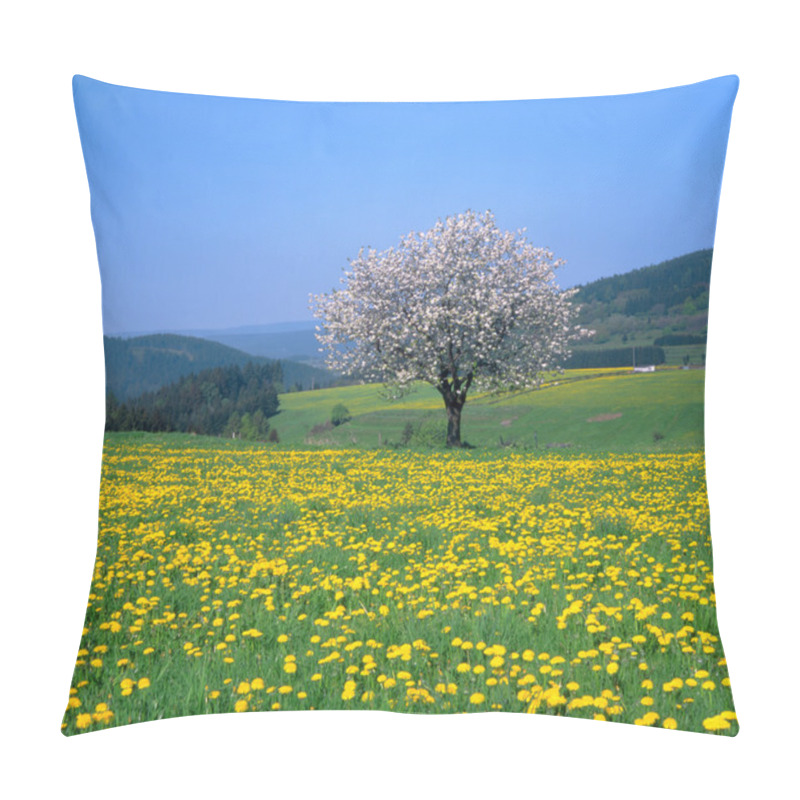 Personality  Spring Landscape With Flowering Fruit Trees And Dandelion Meadow Pillow Covers