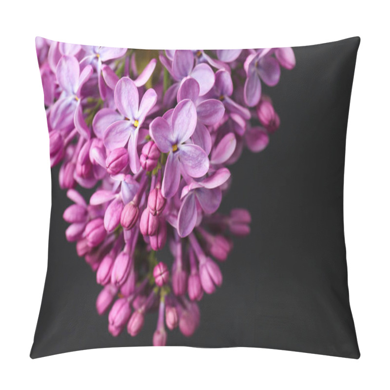 Personality  Beautiful Blossoming Lilac On Dark Background. Spring Flowers Pillow Covers