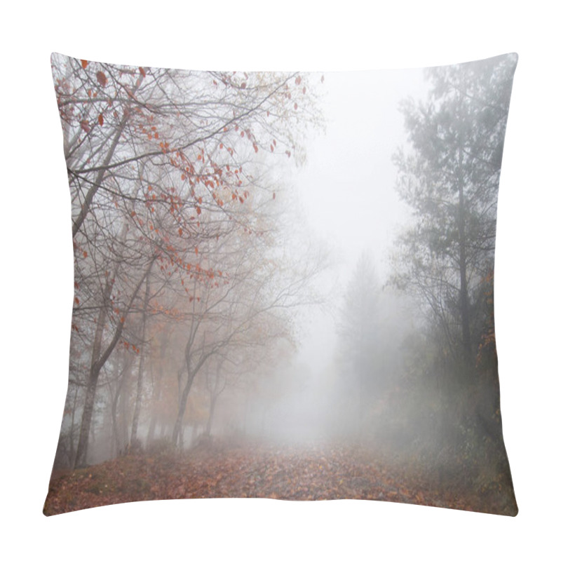 Personality  Foggy Forest Landscape Pillow Covers