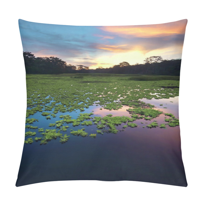 Personality  Amazon Rainforest, Peru, South America  Pillow Covers